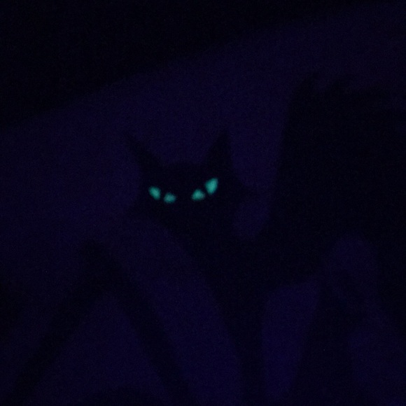 Glow In The Dark Fright Fest Graphic Tee Adult Size XL Black Spooky Pumpkin Cat - Picture 4 of 9